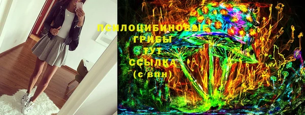 спиды Каменка