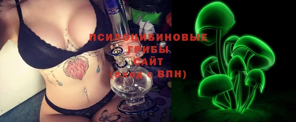 PSILOCYBIN Каменск-Шахтинский