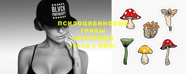 спиды Каменка