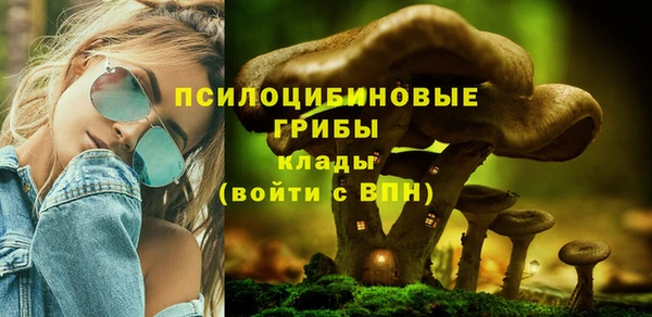 PSILOCYBIN Каменск-Шахтинский