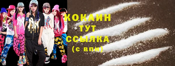 спиды Каменка