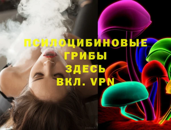 спиды Каменка