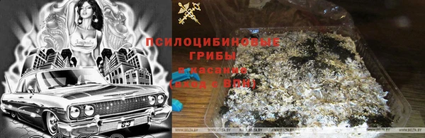 PSILOCYBIN Каменск-Шахтинский