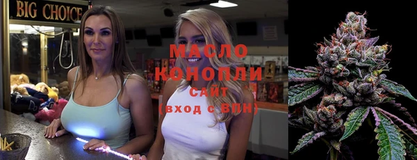 спиды Каменка