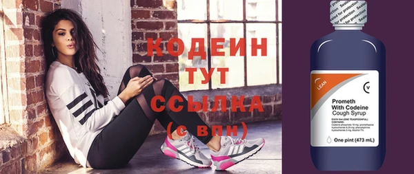 спиды Каменка
